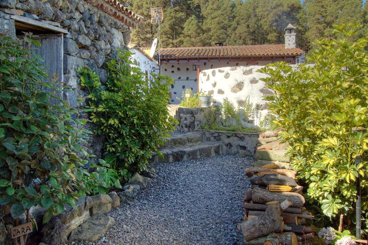 Holidaynorthtenerife Casa Rural Montiel Icod De Los Vinos Exterior foto