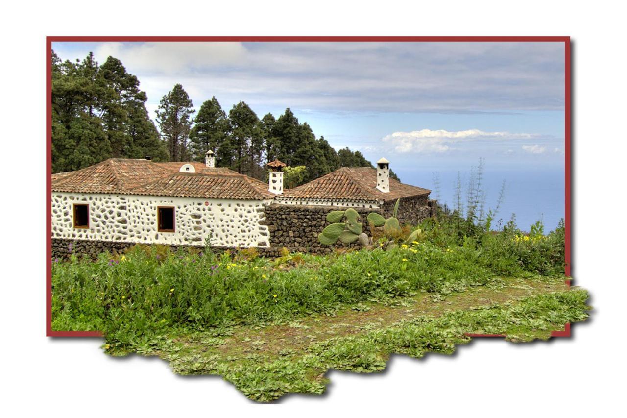 Holidaynorthtenerife Casa Rural Montiel Icod De Los Vinos Exterior foto